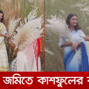 1793185538_maxresdefault.jpg বরিশাল বিসিকে ৩৫ একরজুড়ে কাশবনের রাজ্য, দর্শনার্থীদের ঢল | DBC NEWS