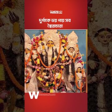 যুগে যুগে আন্দোলনের হাতিয়ার! সার্বজনীন দুর্গোৎসবের ১০০ বছর | Durga Puja | The Wave 24