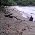 Beausejour Death
