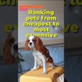 What’s the most and least expensive pet?