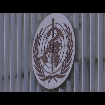 WHO warns ‘no evidence’ that recovered COVID-19 patients cannot be reinfected