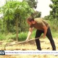 Keur Demba Ngoye : des femmes formées aux pratiques agroécologiques pour accélérer la transition…